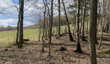 Działka rolna Borowa