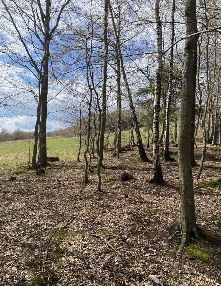 Działka rolna Borowa