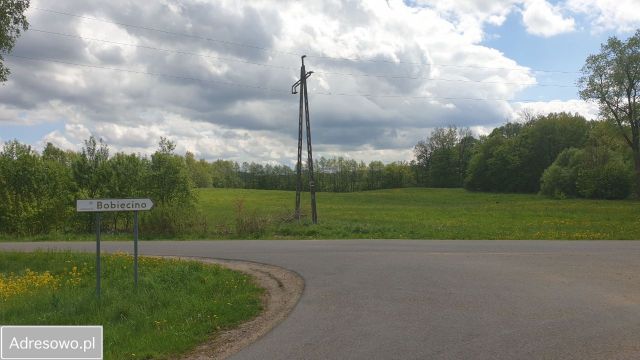 Działka rolno-budowlana Bobięcino. Zdjęcie 3