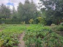 Działka Chełmża, ul. Owocowa. Zdjęcie 2