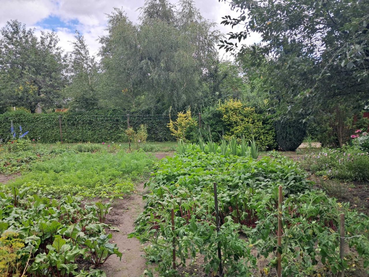 Działka Chełmża, ul. Owocowa. Zdjęcie 3