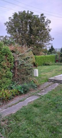 Działka rod Zgierz, ul. Piaskowa. Zdjęcie 1