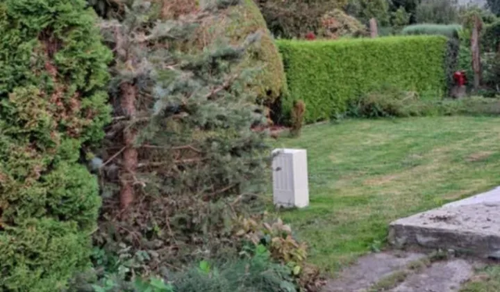 Działka rod Zgierz, ul. Piaskowa