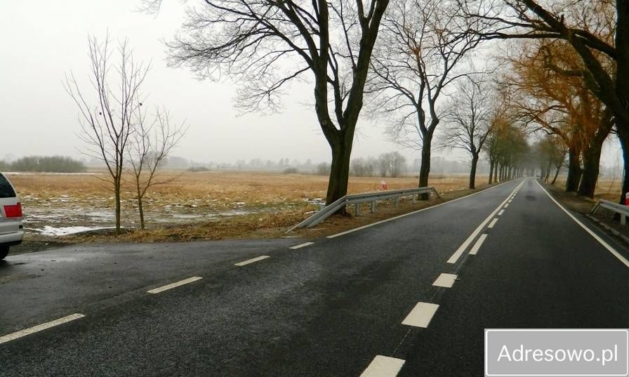 Działka rolna Krępsko. Zdjęcie 2