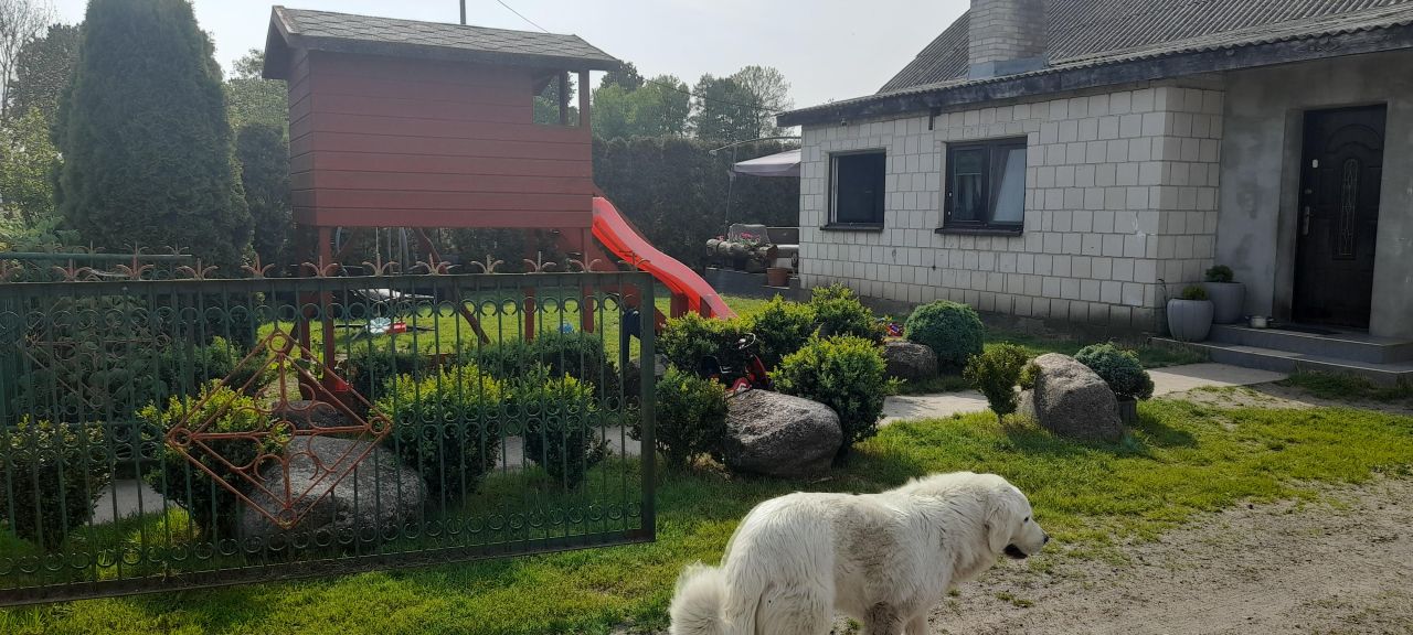 siedlisko, 6 pokoi Wyszonki-Wypychy. Zdjęcie 11