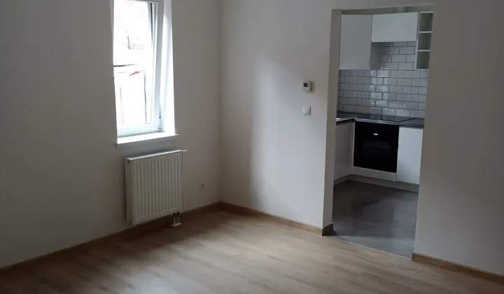 Mieszkanie 1-pokojowe Jasień