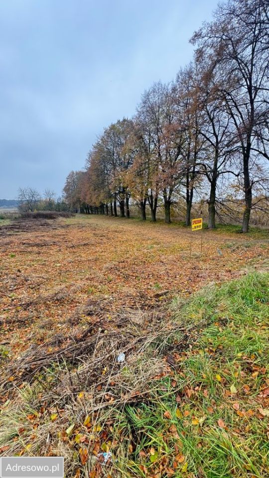 Działka budowlana Kępno, ul. Piotra Potworowskiego. Zdjęcie 5