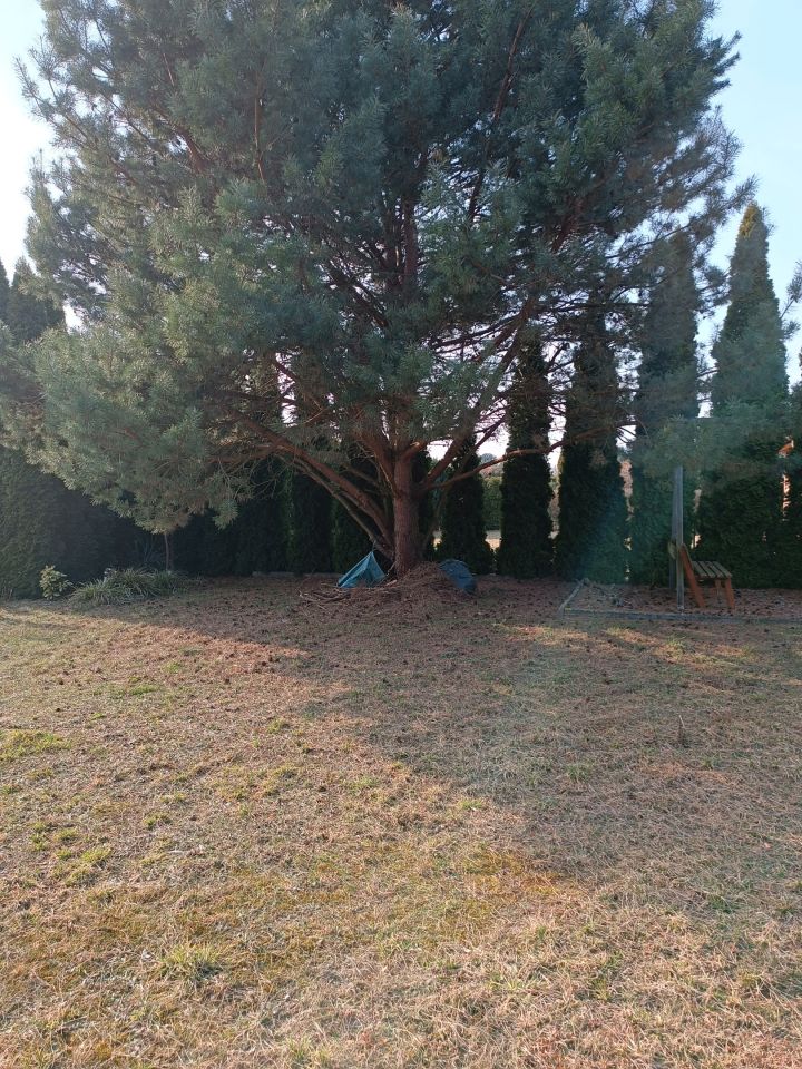 Działka rod Kulów. Zdjęcie 6