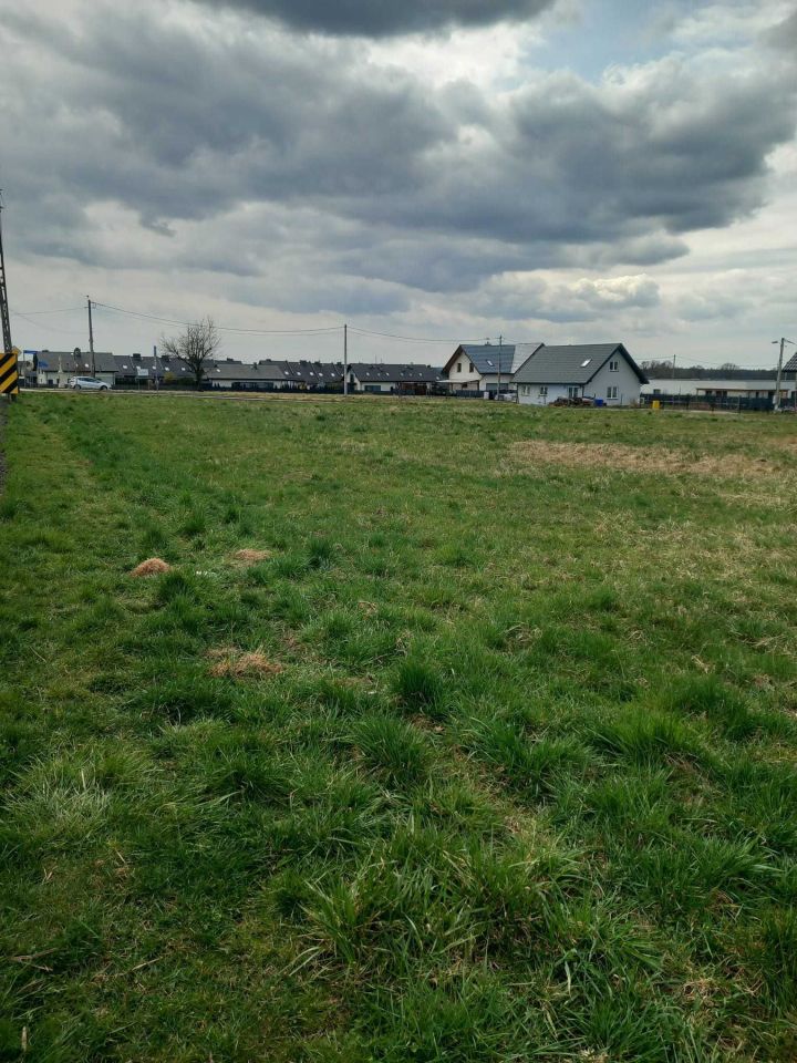 Działka budowlana Żernica, ul. Olchowa. Zdjęcie 5