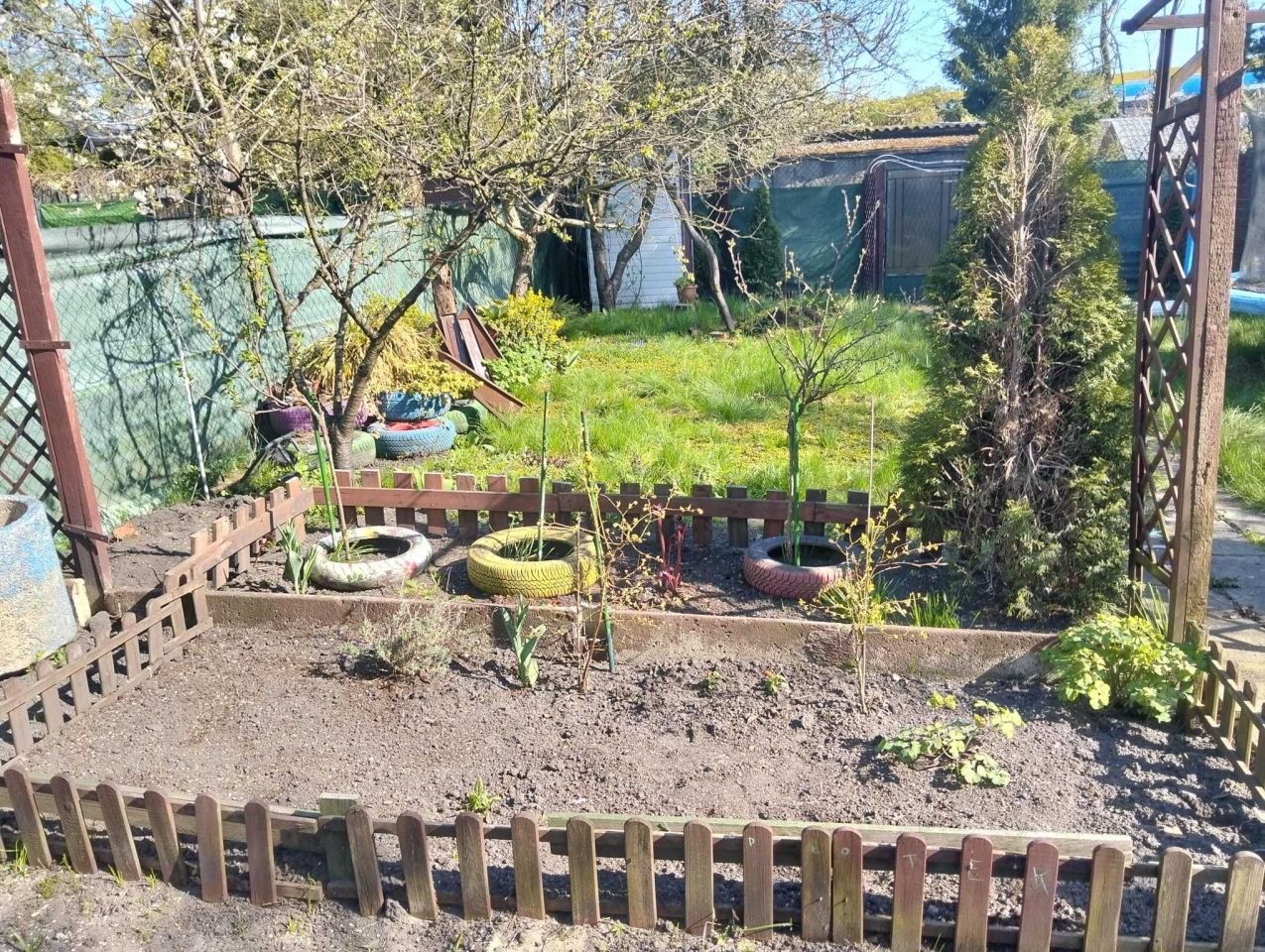 Działka rod Katowice Śródmieście, ul. Raciborska. Zdjęcie 4