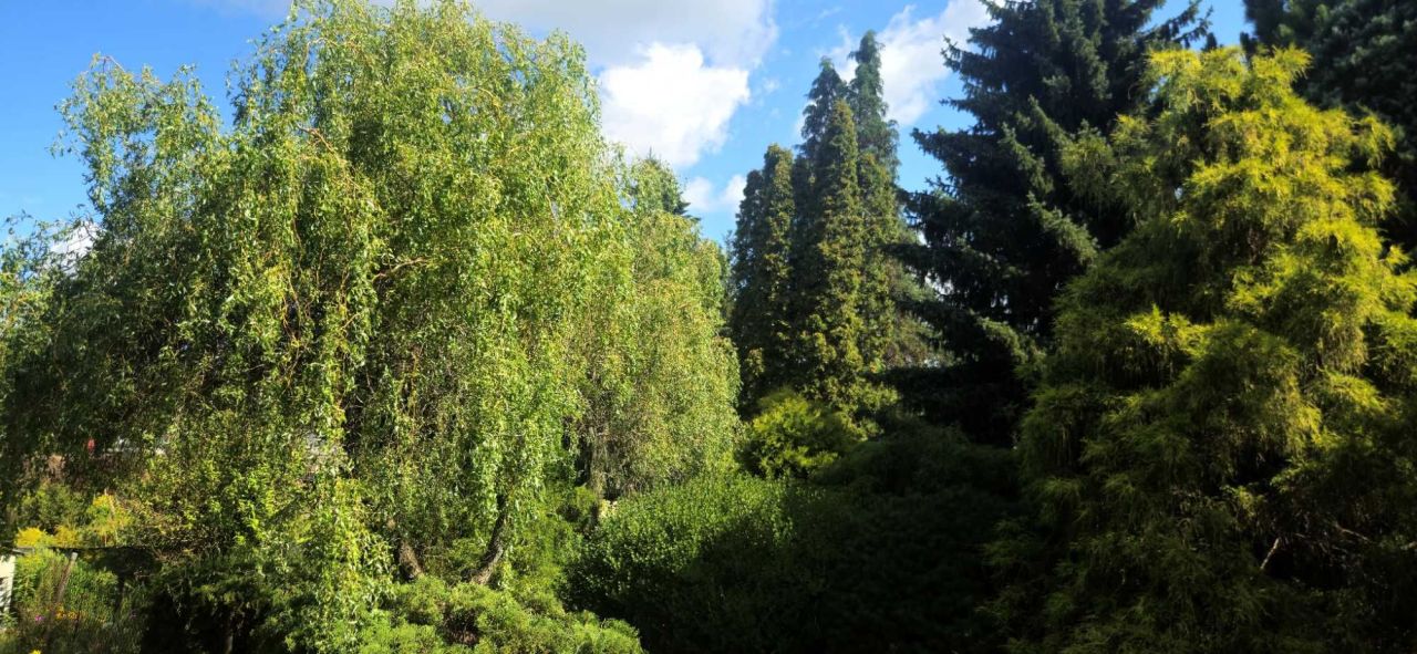 Działka rod Warszawa Białołęka, ul. Ornecka. Zdjęcie 5