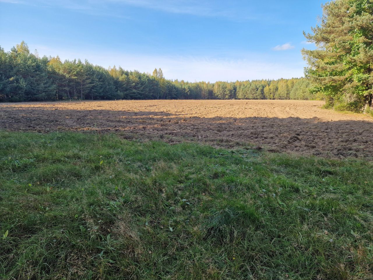 Działka siedliskowa Nowy Lipsk. Zdjęcie 30