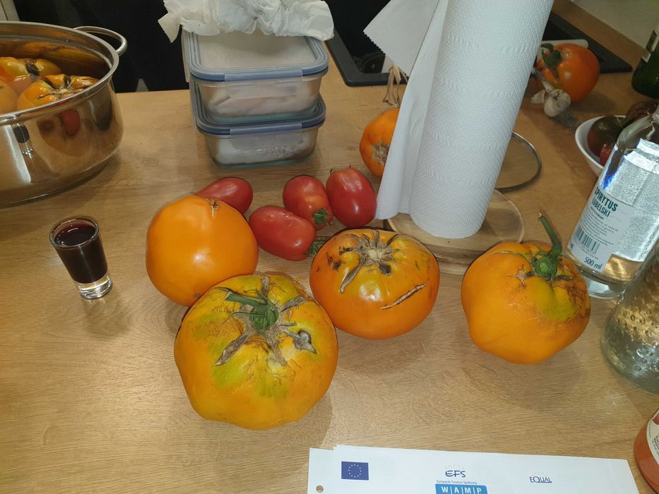 Działka rod Wrocław Śródmieście. Zdjęcie 8