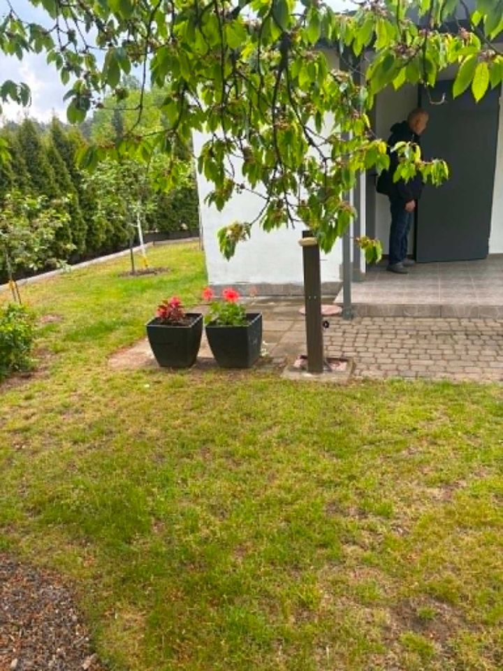 Działka rod Leszno. Zdjęcie 1