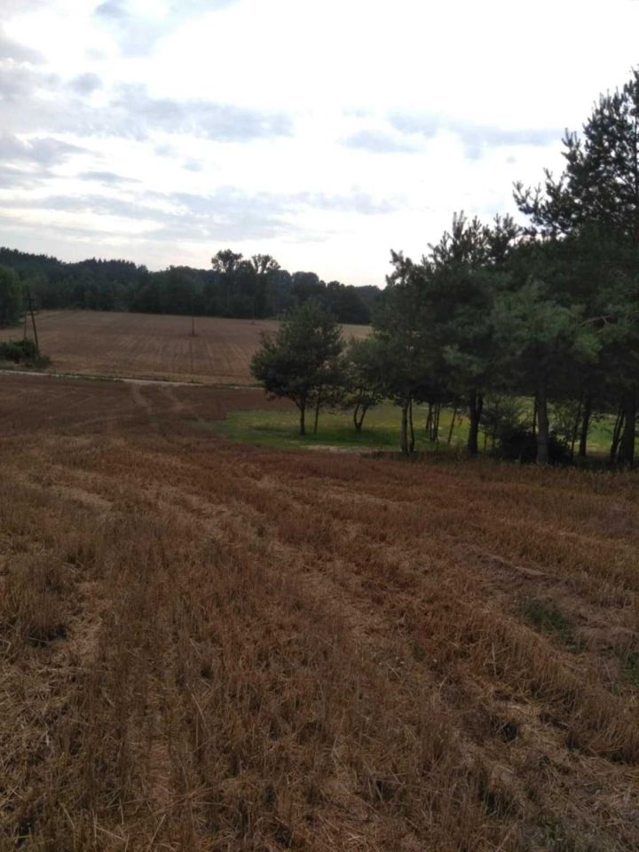 Działka budowlana Katarzynopole. Zdjęcie 2