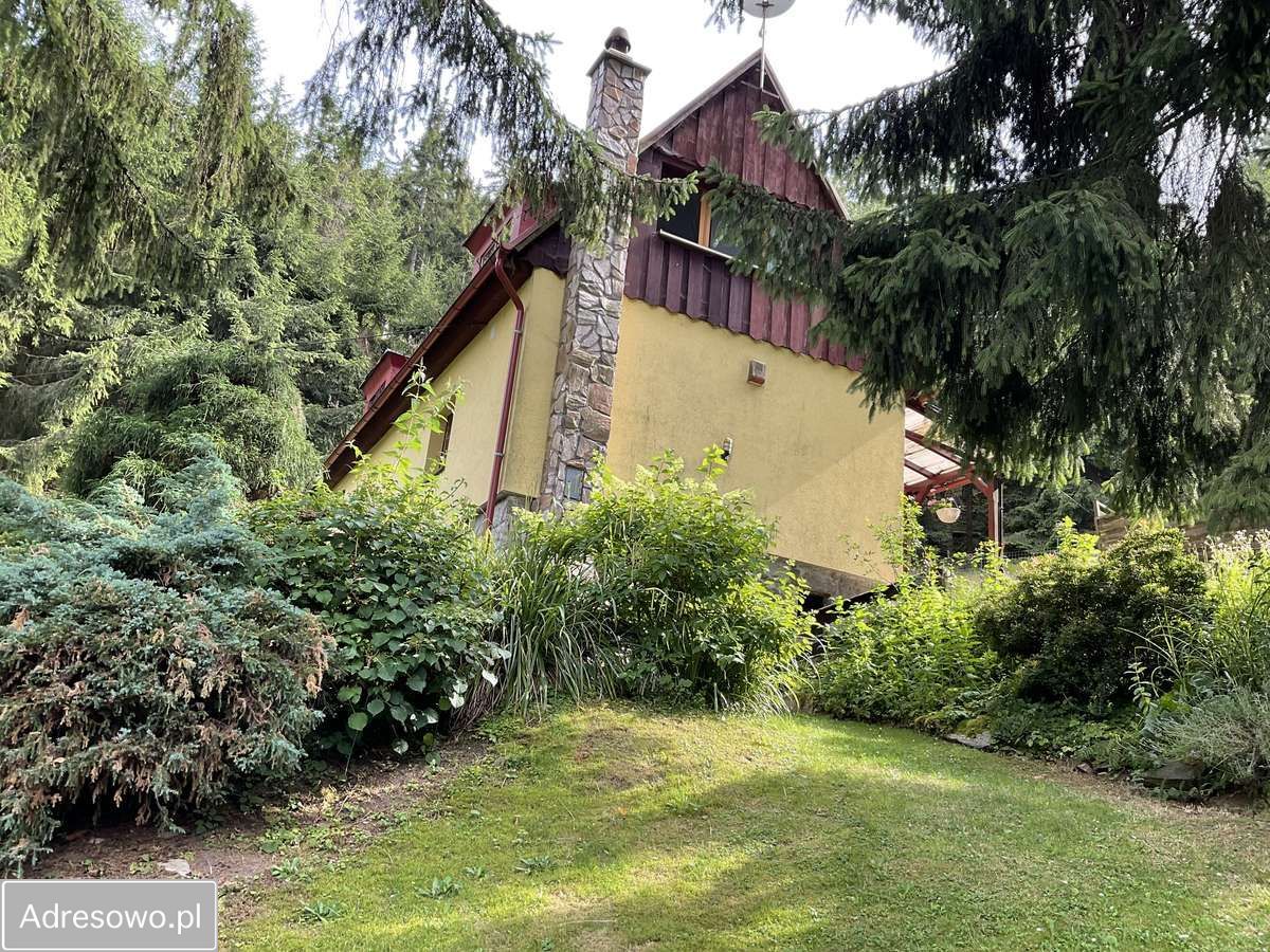 dom wolnostojący, 4 pokoje Duszniki-Zdrój