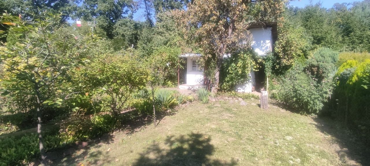 Działka rod Klucze. Zdjęcie 6