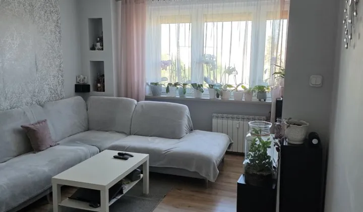 Mieszkanie 3-pokojowe Leszno