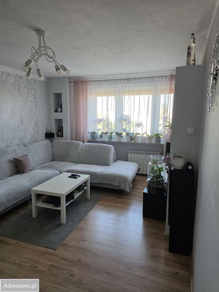 Mieszkanie 3-pokojowe Leszno