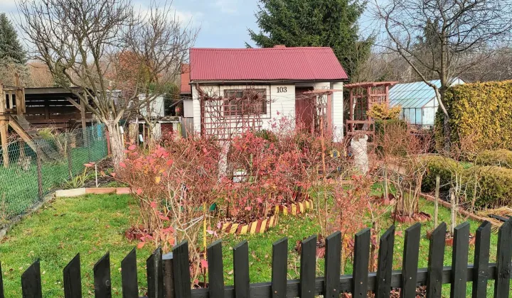 Działka rekreacyjna Skarżysko-Kamienna, ul. Piękna