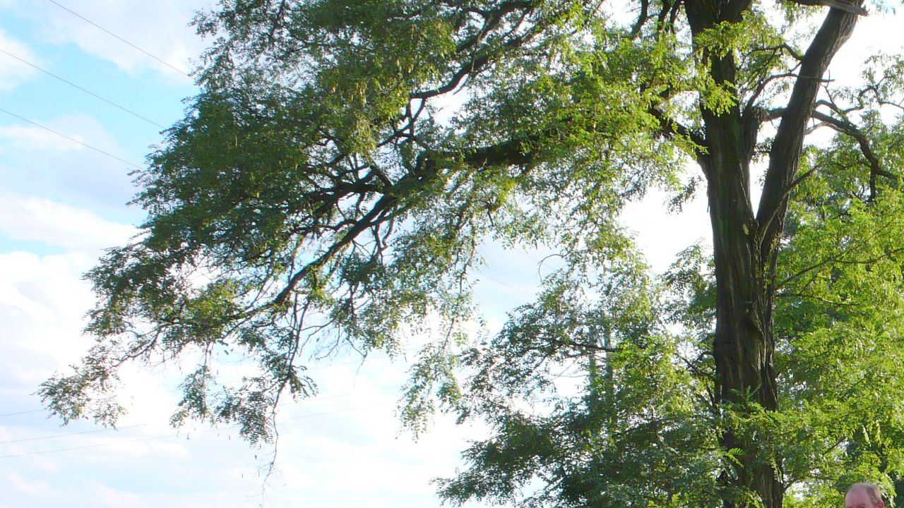 Działka budowlana Krępice, ul. Słoneczna. Zdjęcie 3