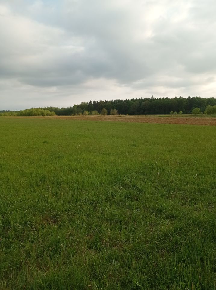 Działka rolna Sarzyna Poręba. Zdjęcie 2