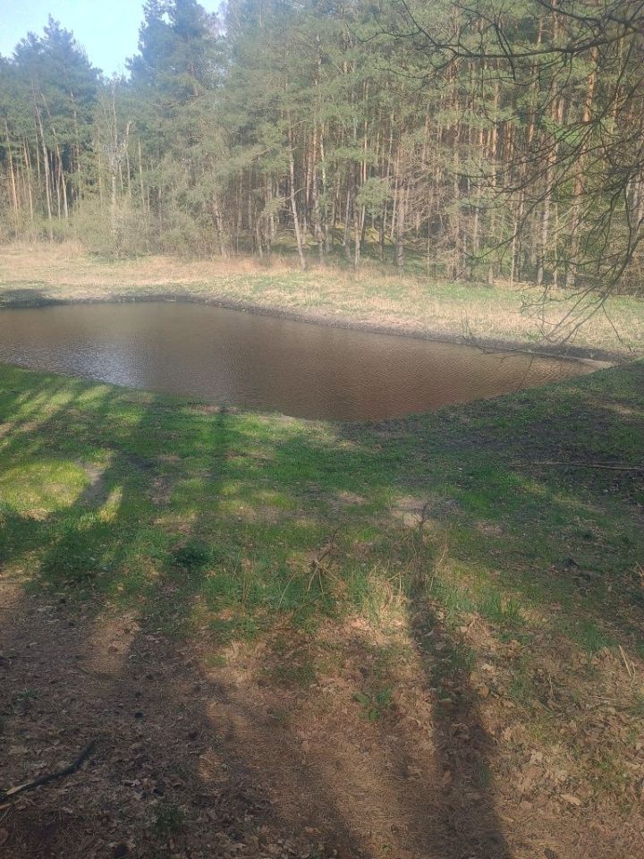 Działka rekreacyjna Grabowiec. Zdjęcie 4