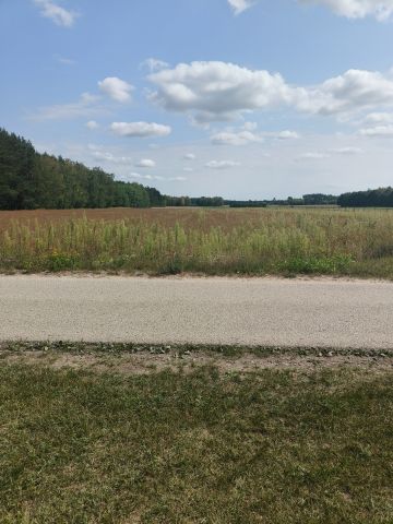 Działka rolno-budowlana Grzybów, Grzybów. Zdjęcie 1
