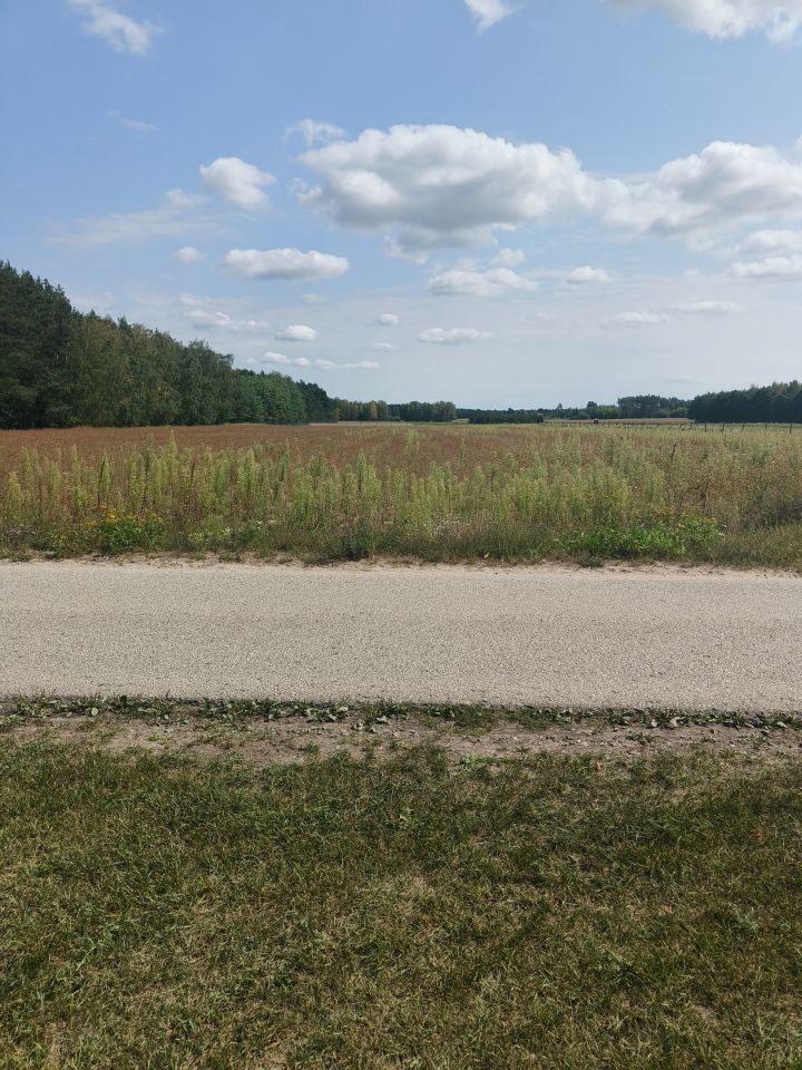 Działka rolno-budowlana Grzybów, Grzybów. Zdjęcie 1