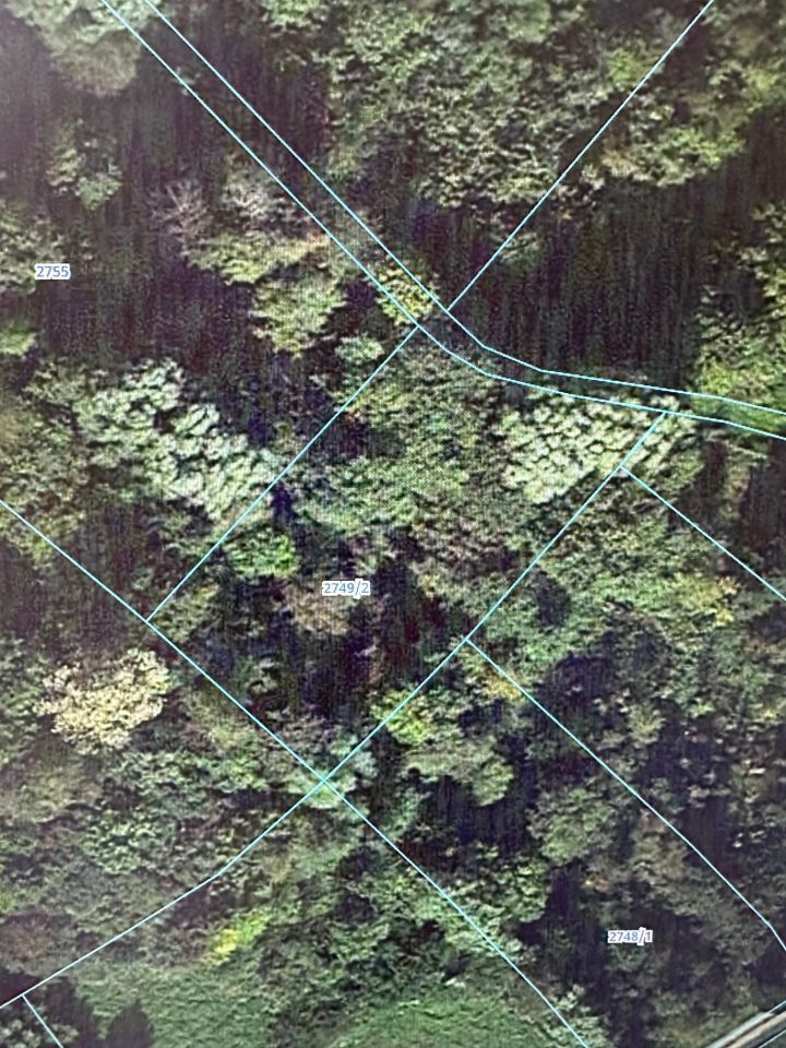 Działka budowlana Borek Stary Podklasztor. Zdjęcie 5