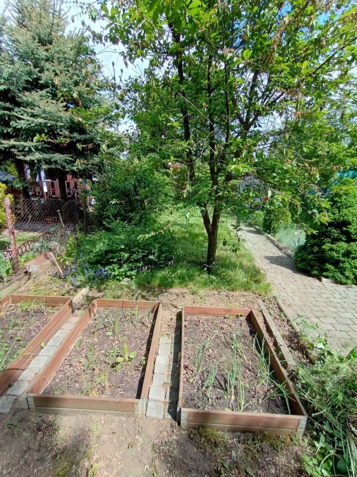 Działka rod Będzin Grodziec. Zdjęcie 7