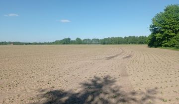 Działka siedliskowa Kosewo, ul. Lipnicka