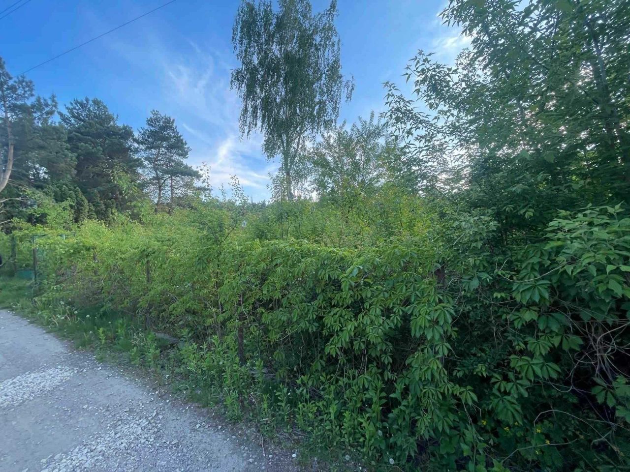 Działka budowlana Otrębusy, ul. Poranna. Zdjęcie 2