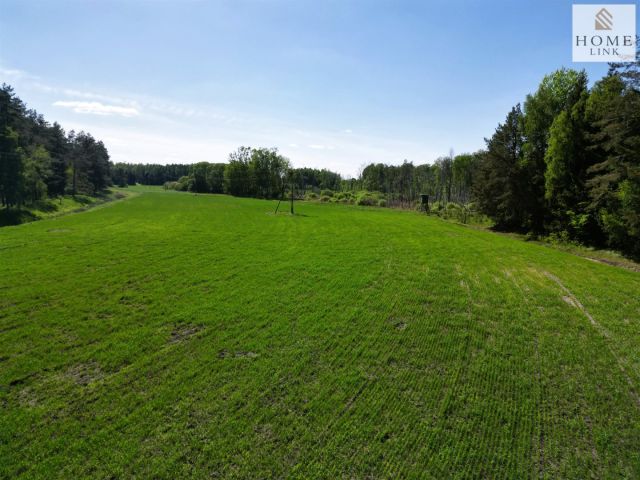 Działka rolna Elgnówko. Zdjęcie 8