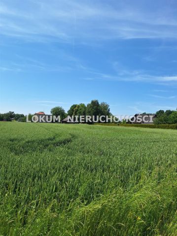 Działka budowlana Kończyce Małe, ul. Brzoskwiniowa. Zdjęcie 4