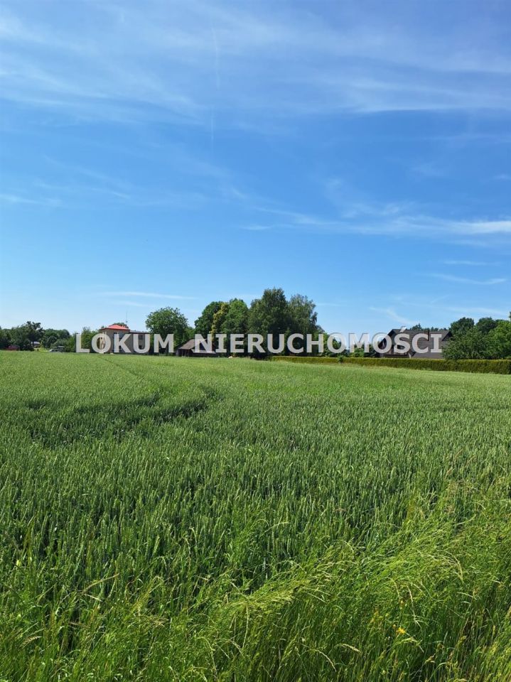 Działka budowlana Kończyce Małe, ul. Brzoskwiniowa. Zdjęcie 4