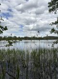 Działka rekreacyjna Borzechowo. Zdjęcie 2