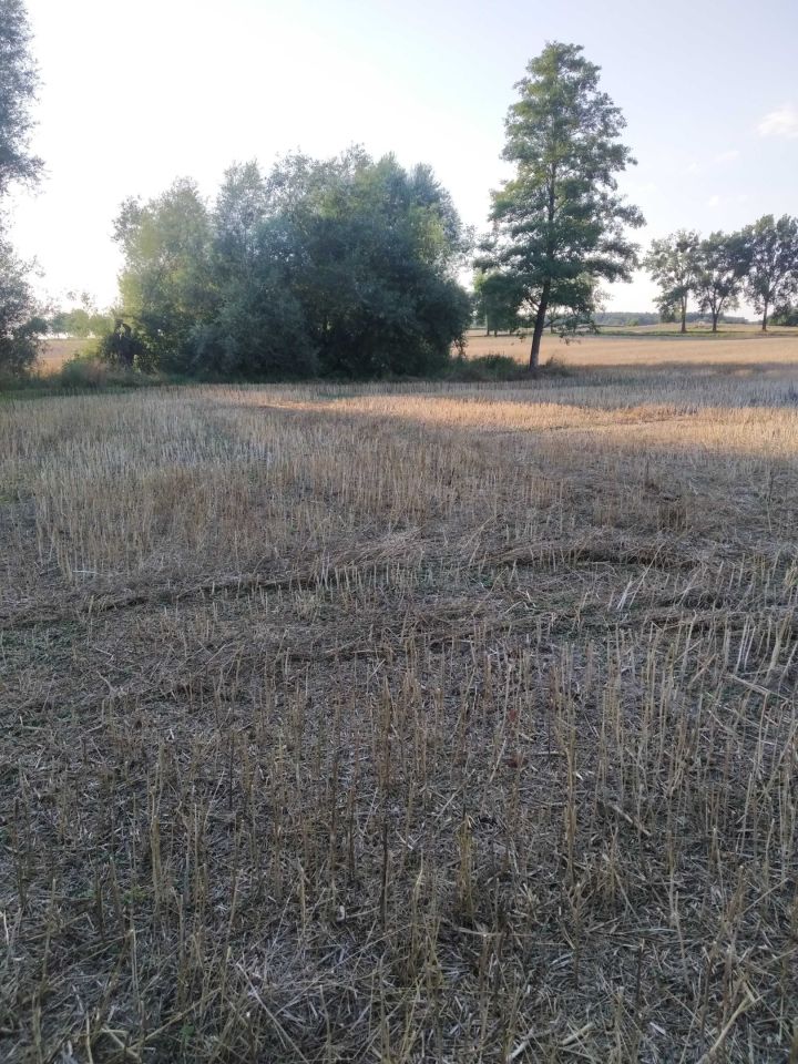 Działka budowlana Tytusin. Zdjęcie 4