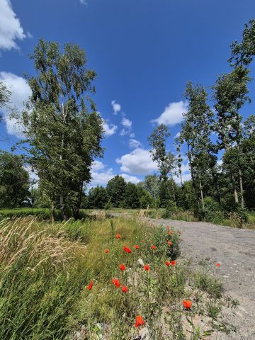 Działka budowlana Juliopol. Zdjęcie 1