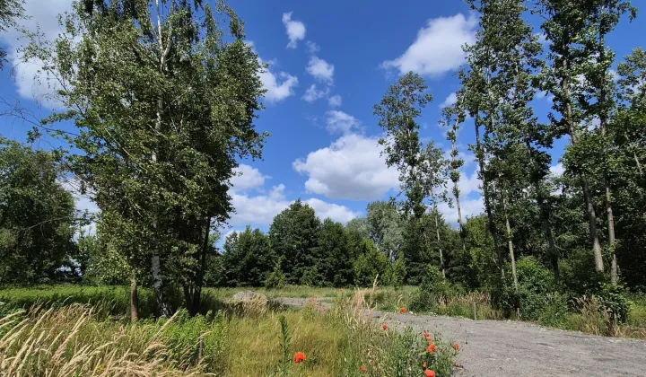 Działka budowlana Juliopol