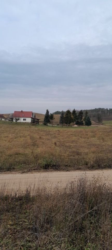 Działka rolna Lubiewo. Zdjęcie 4