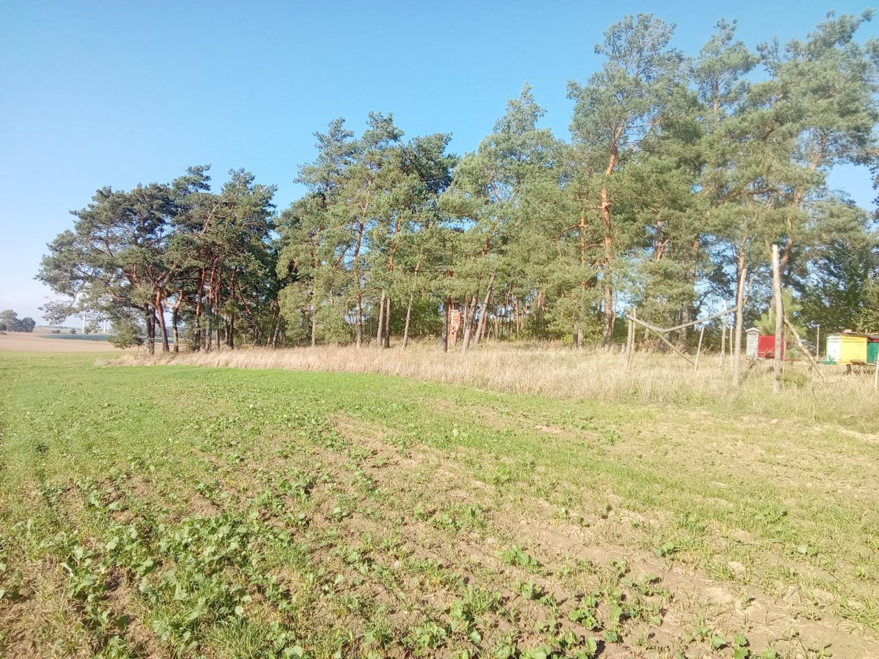 Działka rolna Parsów. Zdjęcie 9