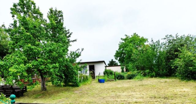 Działka rod Piechcin. Zdjęcie 1