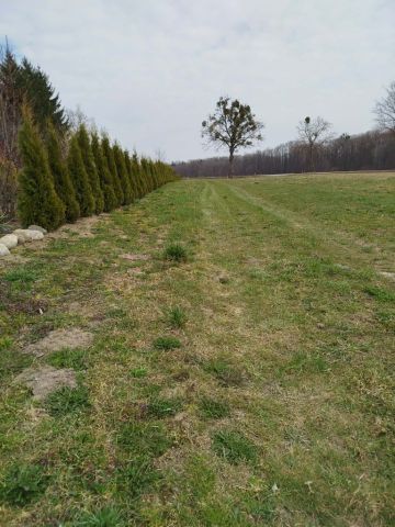 Działka budowlana Osieka. Zdjęcie 1