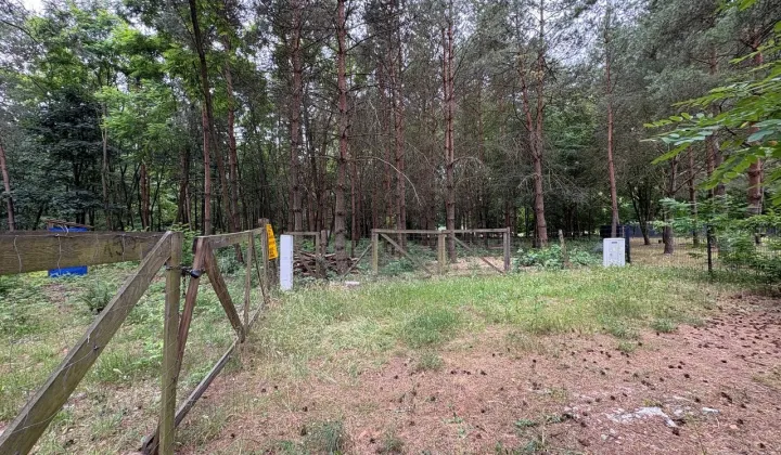 Działka budowlana Wężyk