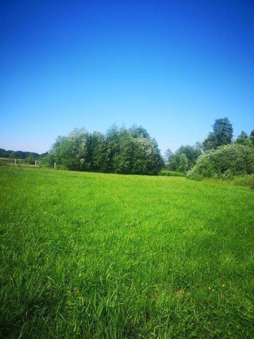 Działka budowlana Klonów. Zdjęcie 4