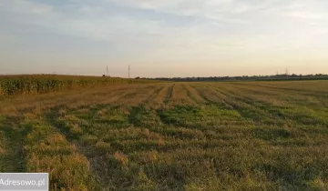 Działka rolna Płock Radziwie