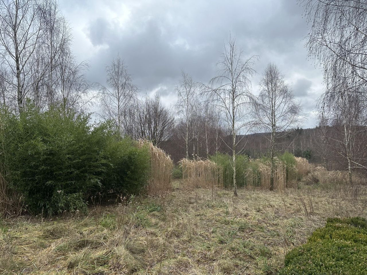 dom wolnostojący, 5 pokoi Kiełmina. Zdjęcie 35