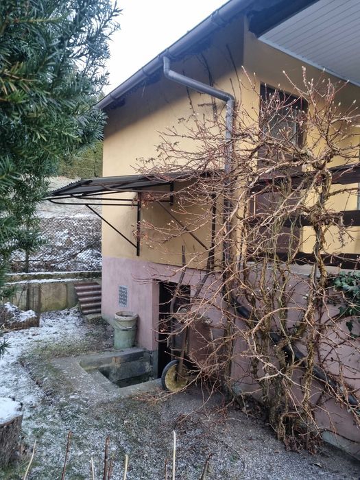 Działka rod Golub-Dobrzyń. Zdjęcie 8