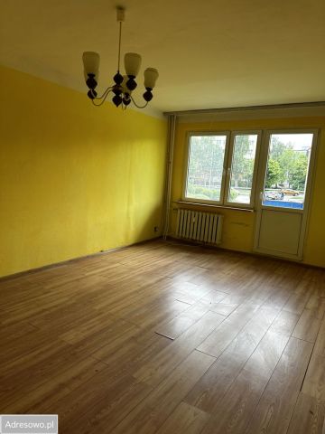 Mieszkanie 2-pokojowe Kołobrzeg Centrum, ul. Złota. Zdjęcie 1